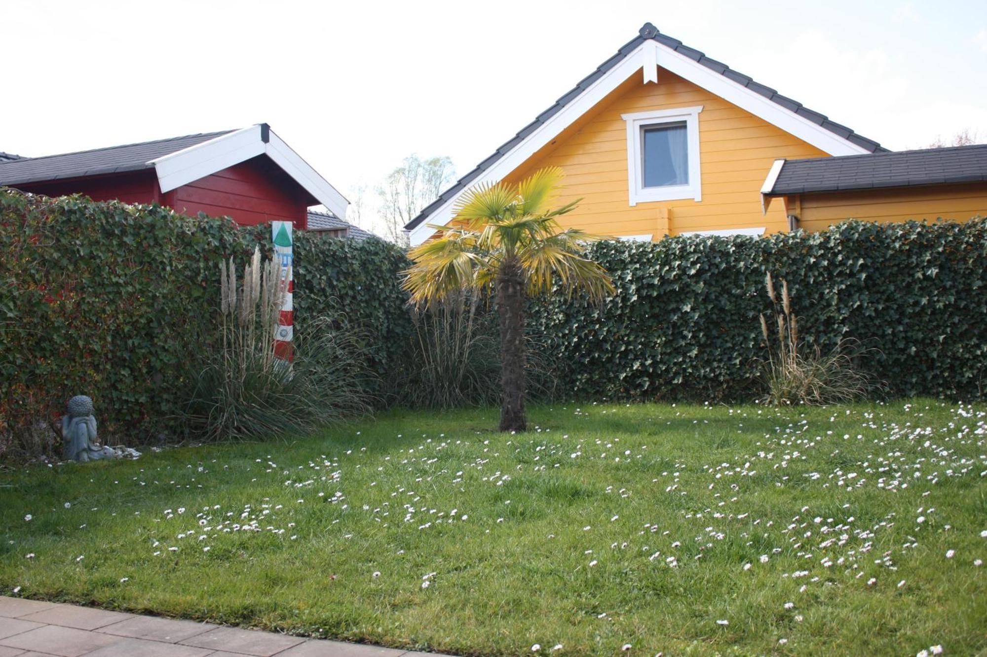 Villa Emilia - Gemuetliches Kinderfreundliches Blockhaus Mit Umzaeuntem Garten Sint-Annaland Exterior foto
